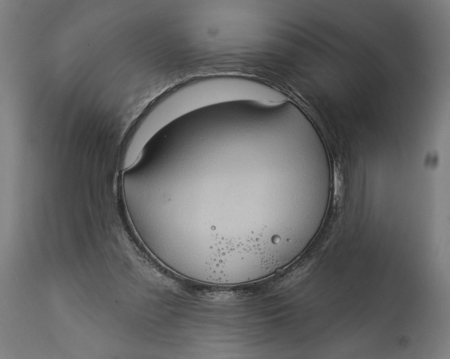 X0000114530301200911091116