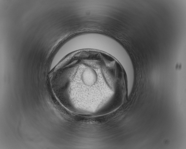 X0000114530304200911091116