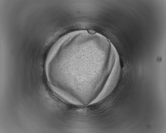X0000114530306200911091116