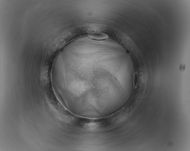 X0000114530312200911091116