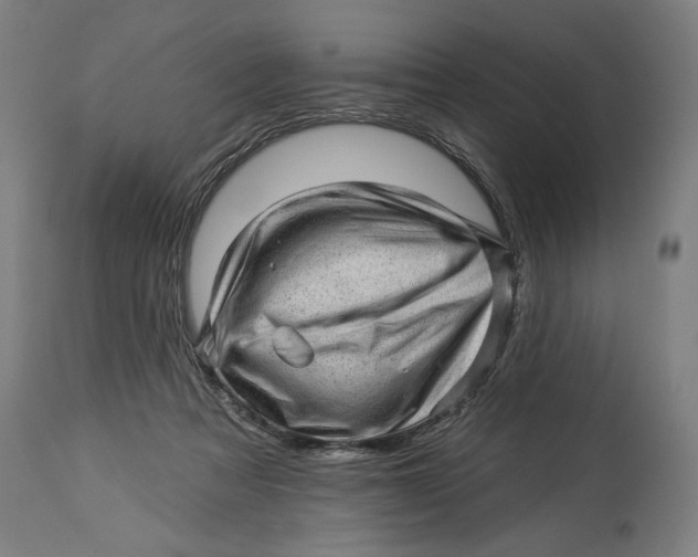 X0000114530313200911091116