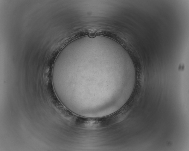 X0000114530319200911091116