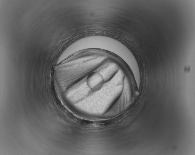 X0000114530320200911091116