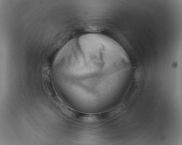 X0000114530322200911091116