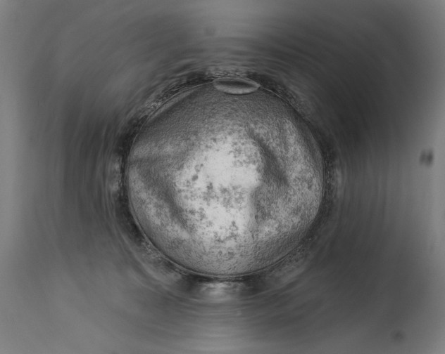 X0000114530323200911091116