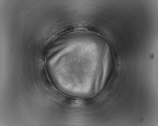 X0000114530324200911091116