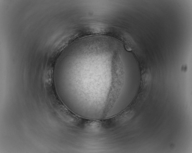 X0000114530325200911091116