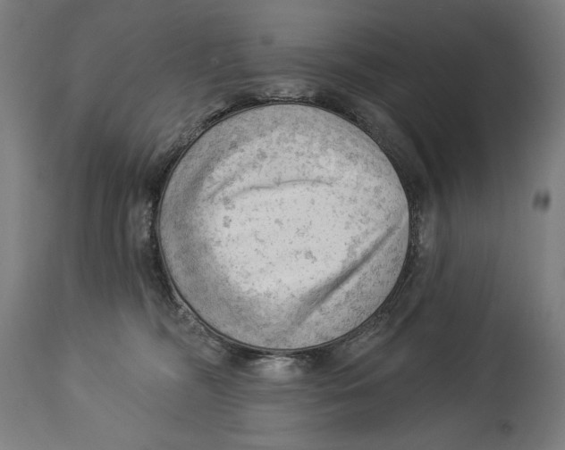 X0000114530326200911091116