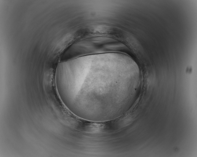 X0000114530328200911091116
