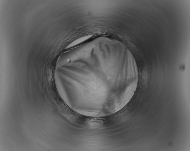 X0000114530331200911091116