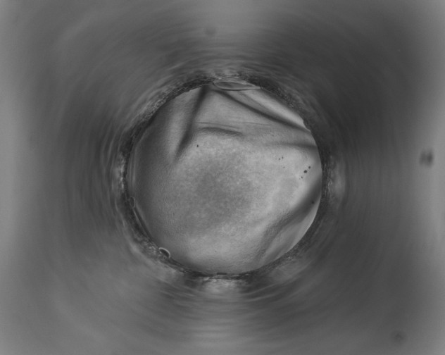 X0000114530332200911091116