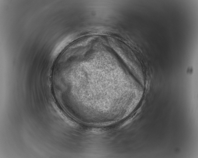 X0000114530341200911091115