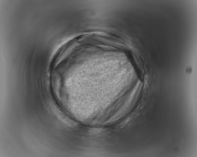X0000114530342200911091115