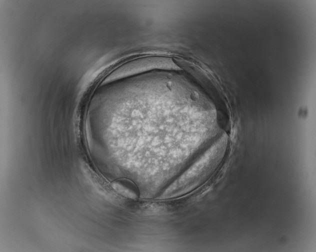 X0000114530343200911091115
