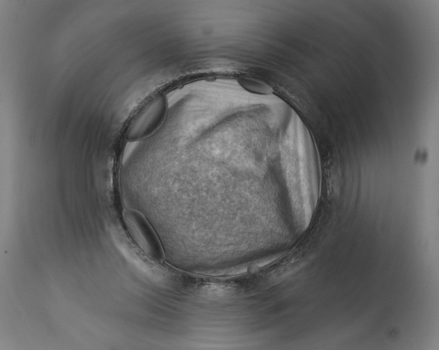 X0000114530350200911091115