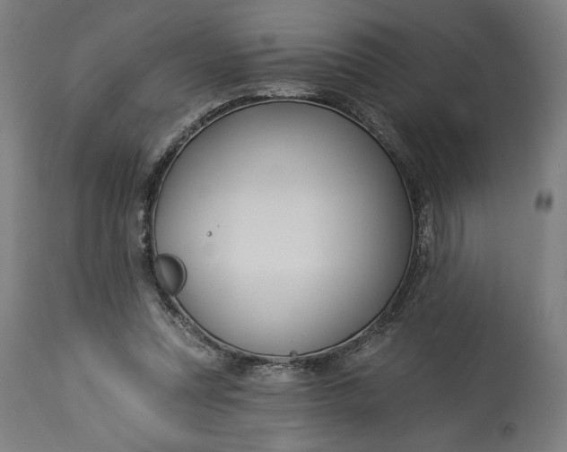 X0000114530351200911091115