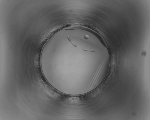 X0000114530353200911091116