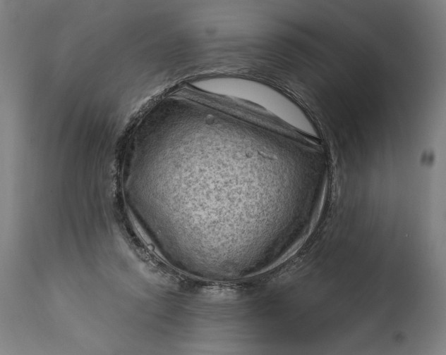 X0000114530354200911091116