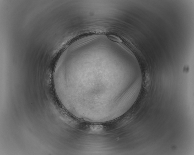 X0000114530355200911091116