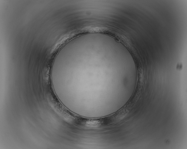 X0000114530357200911091116
