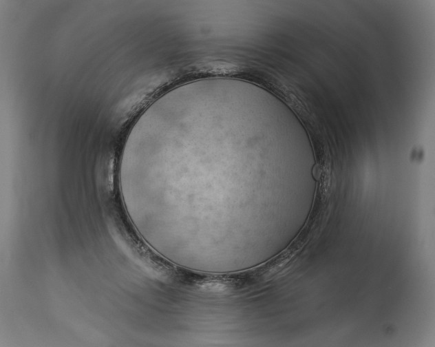 X0000114530358200911091116