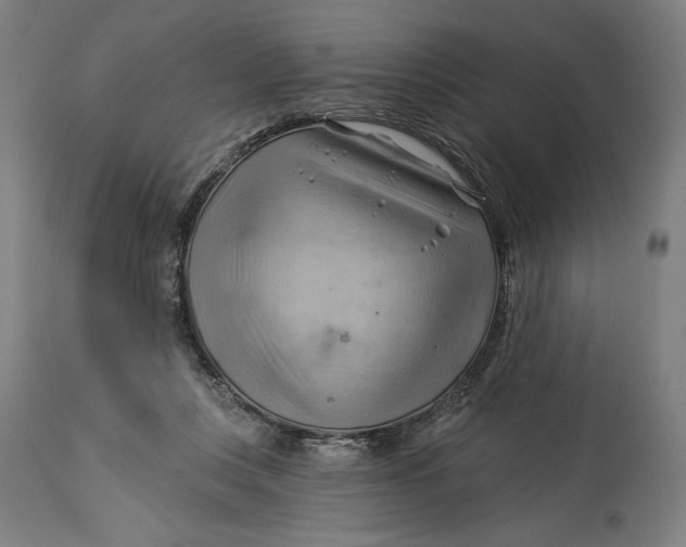X0000114530359200911091116