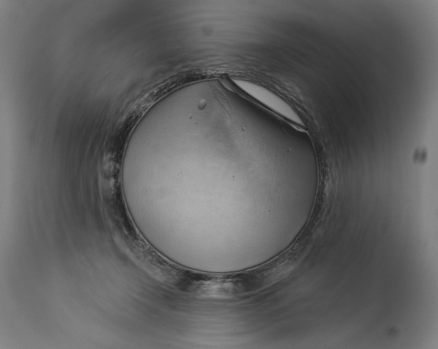 X0000114530366200911091116