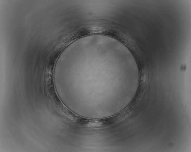 X0000114530369200911091116