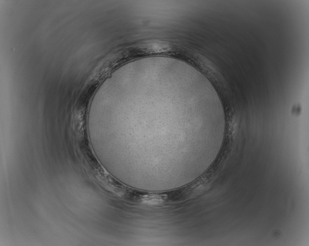X0000114530373200911091116