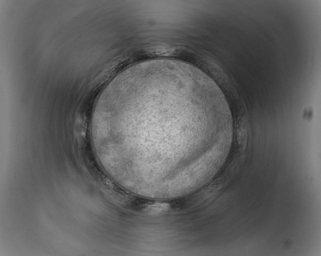 X0000114530374200911091116