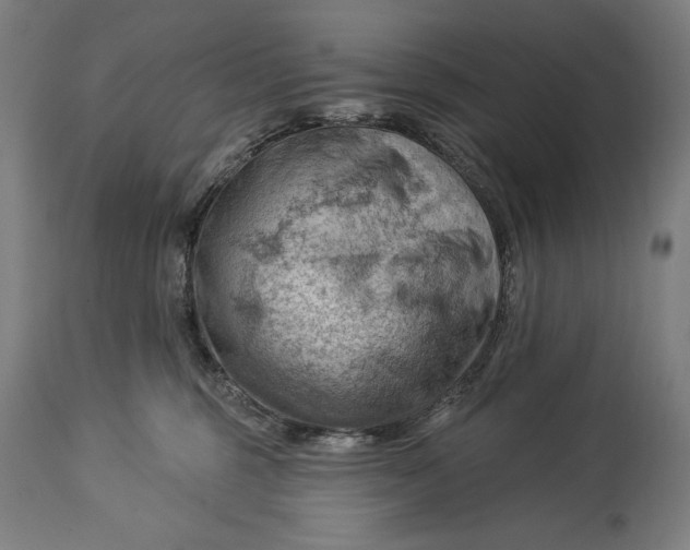 X0000114530375200911091116