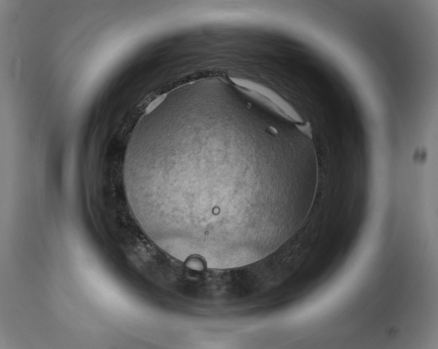 X0000114530382200911091116