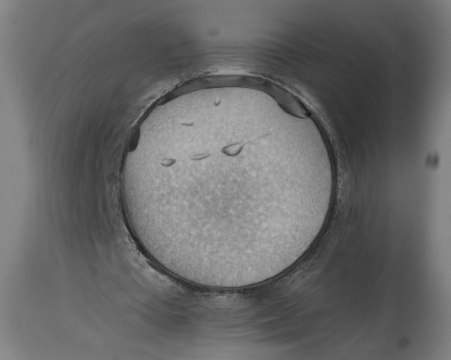 X0000114530385200911091115