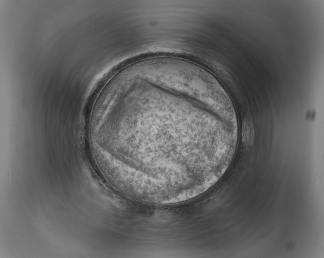 X0000114530388200911091115
