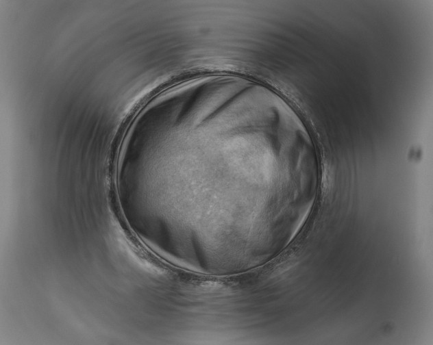 X0000114530390200911091115