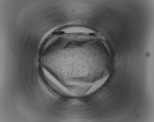 X0000114530392200911091115