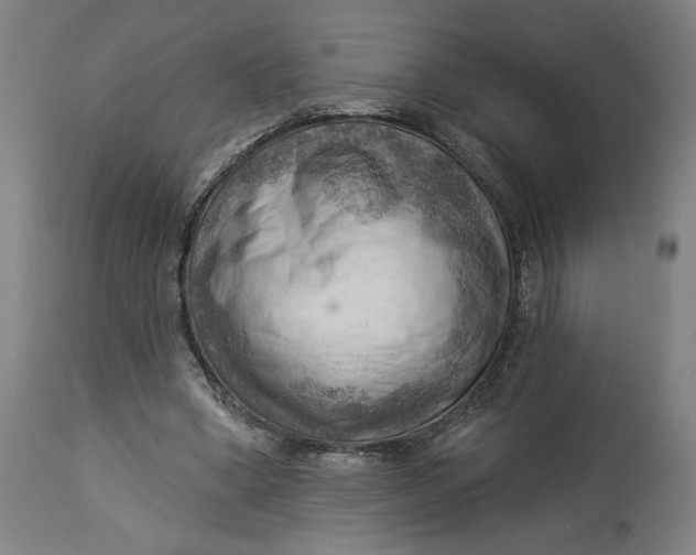 X0000114530394200911091115