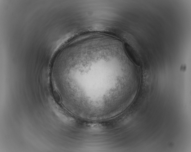 X0000114530395200911091115