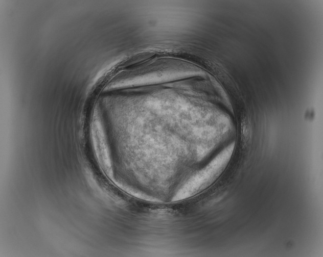 X0000114530396200911091115