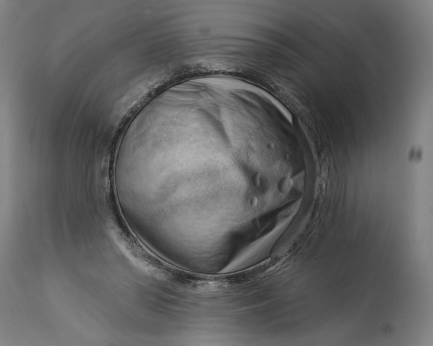 X0000114530398200911091115