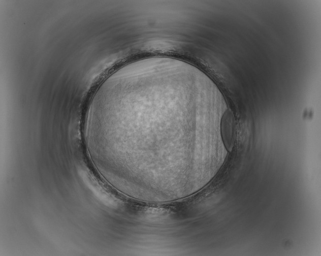 X0000114530399200911091115