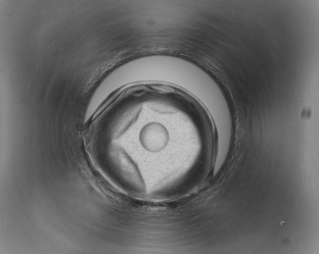 X0000114530401200911091115
