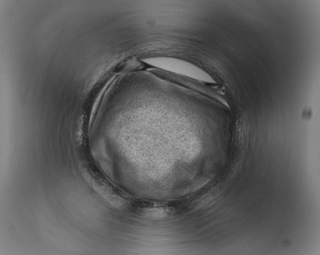 X0000114530404200911091115