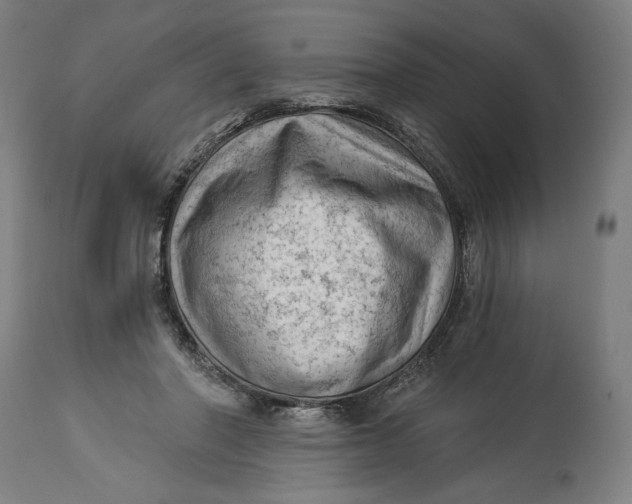 X0000114530406200911091115