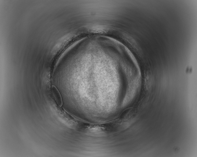 X0000114530407200911091115