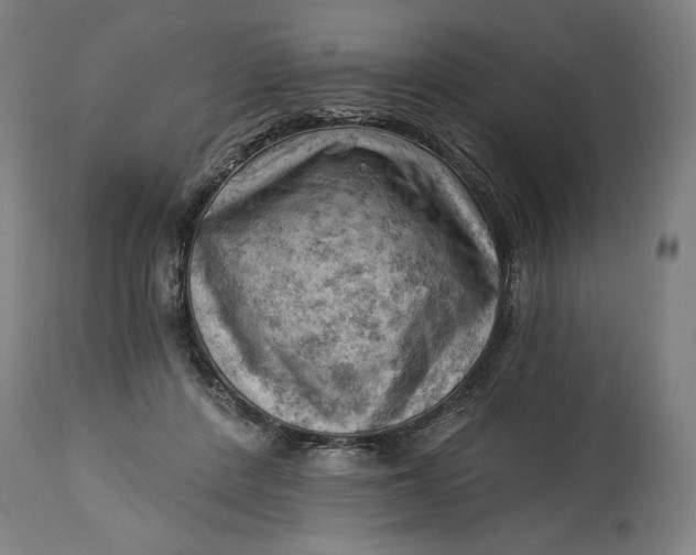 X0000114530408200911091115