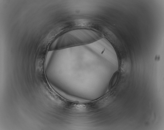 X0000114530409200911091115