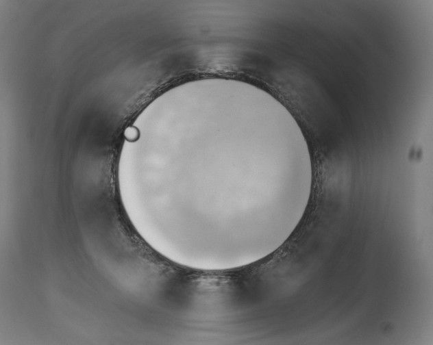 X0000114530415200911091115