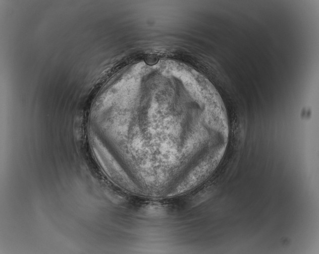 X0000114530416200911091115