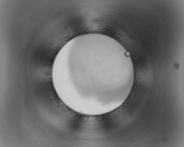 X0000114530419200911091115